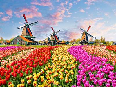 جاهای دیدنی هلند؛ معرفی زیباترین جاذبه های گردشگری هلند